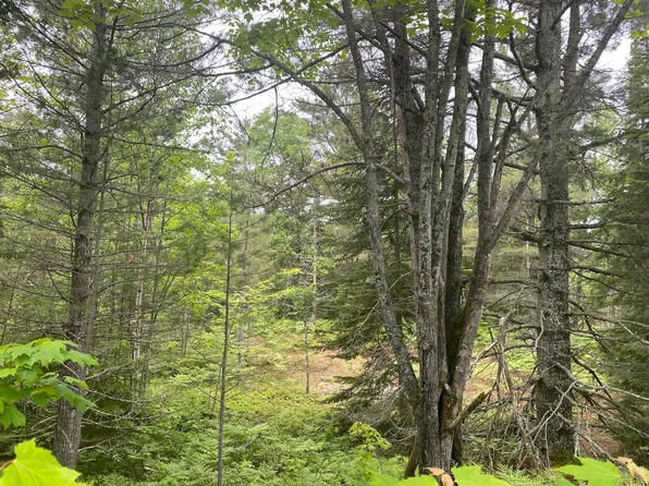 14889 N Whitefish Point Rd, Paradise, MI 49768