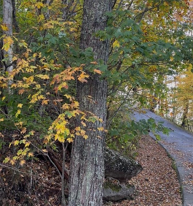 2nd image of TBD Wakeman Way