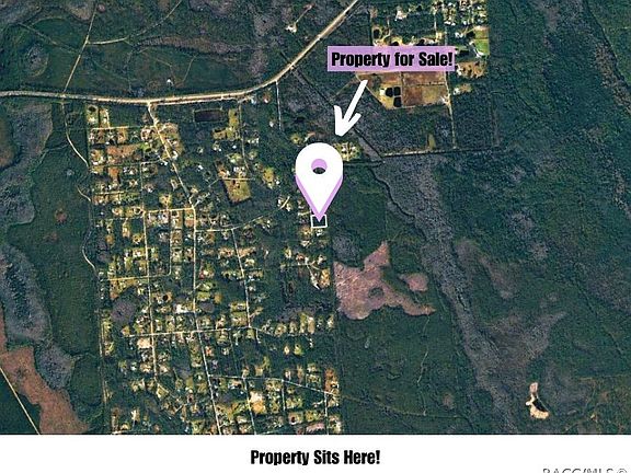 2nd image of 220 Conifer Ln