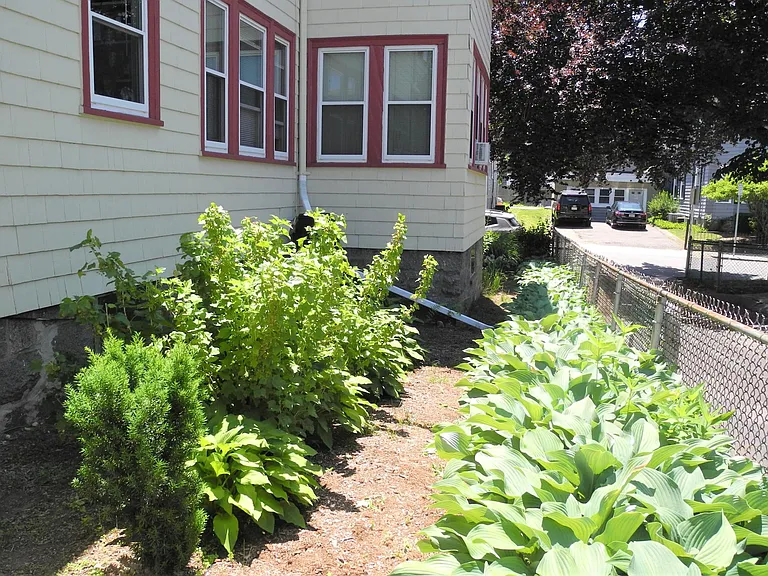 6 Mapleton St #1 — Photo 33