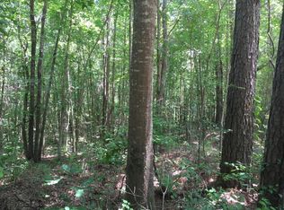 0 Woodrow Martin Rd, Puckett, MS 39145