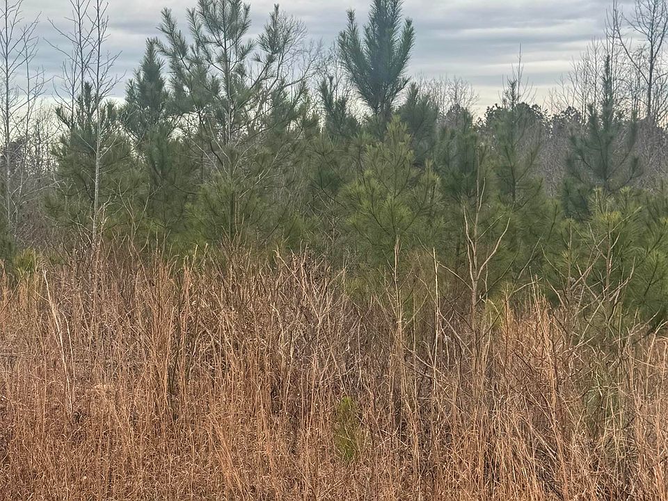 2nd image of 1661 County Road 637