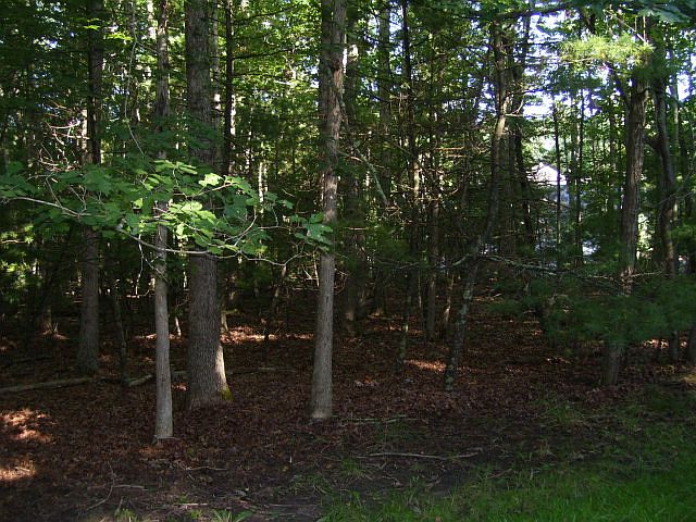 1st image of Sourwood Ln