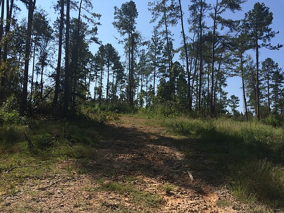 2nd image of 120 Acres Fig Ln