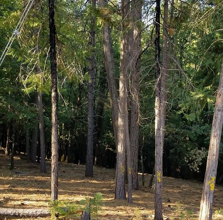 2nd image of 4760 Sierra Springs Dr
