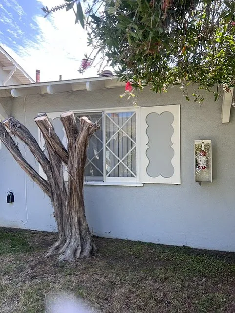 2 bed, 900 sqft, $3,000 — Photo 2