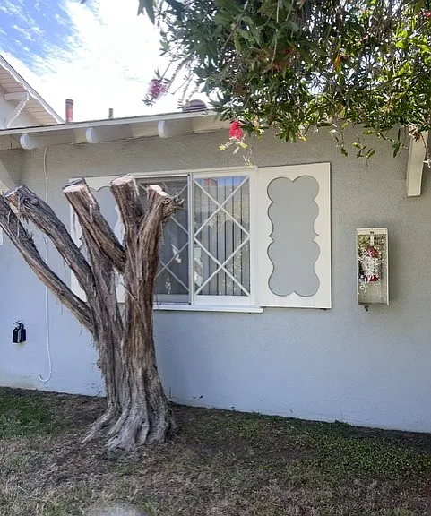 668 Center St #B — Photo 2