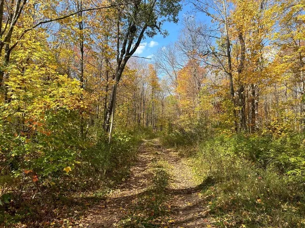 Off County Line Lake Road Acres #39, Bruce Crossing, MI 49912