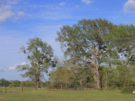 5th image of 27134 Muckelroy Rd