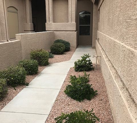 Front Walk to House