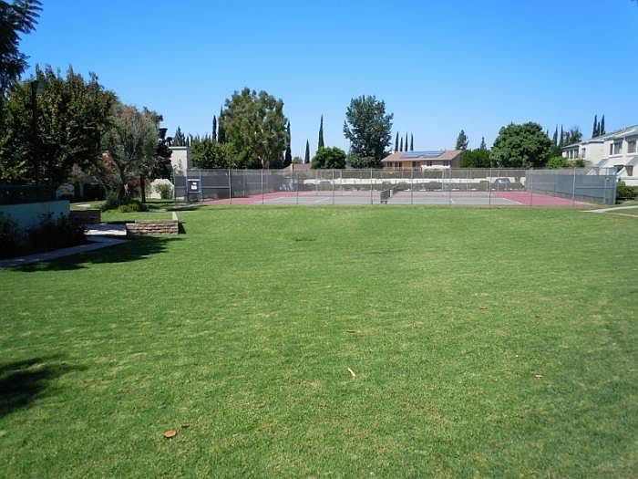 Lawn Area