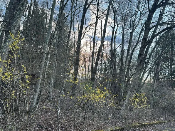 TBD Diane Boulevard, Woodridge, NY 12789