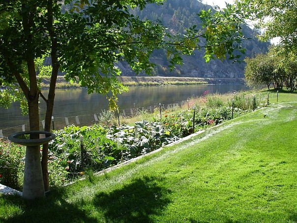 backyard view