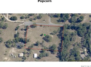1502 N Popcorn Point, Inverness, FL 34453