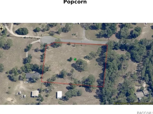 1502 N Popcorn Point, Inverness, FL 34453