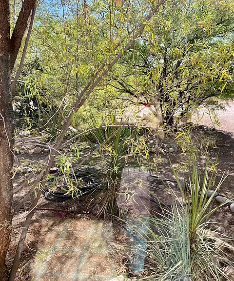 237 E Delano St — Photo 9