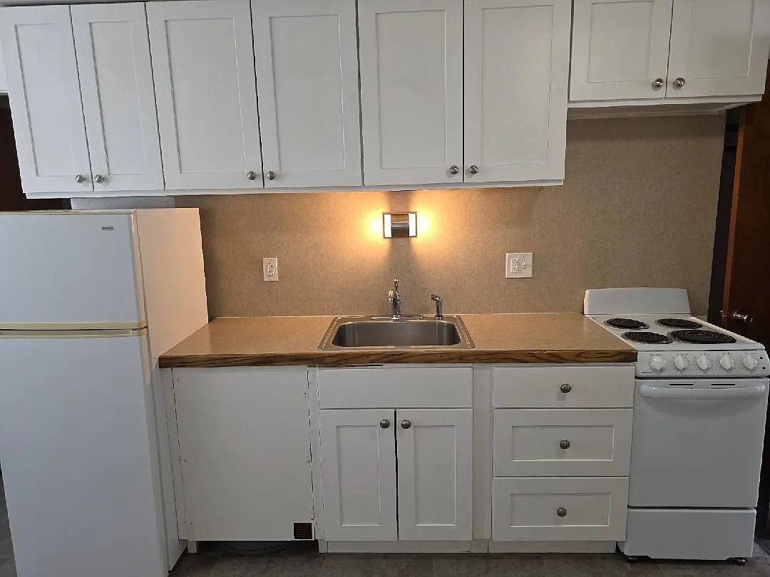 Studio, 225 sqft, $890 — Photo 3