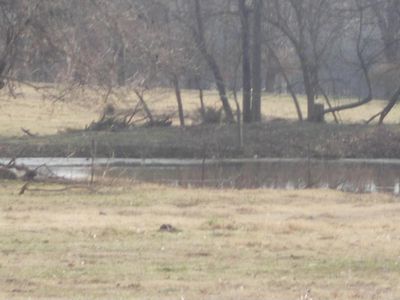 Highway 72 & Shady Grove Rd, Gravette, AR, 72736