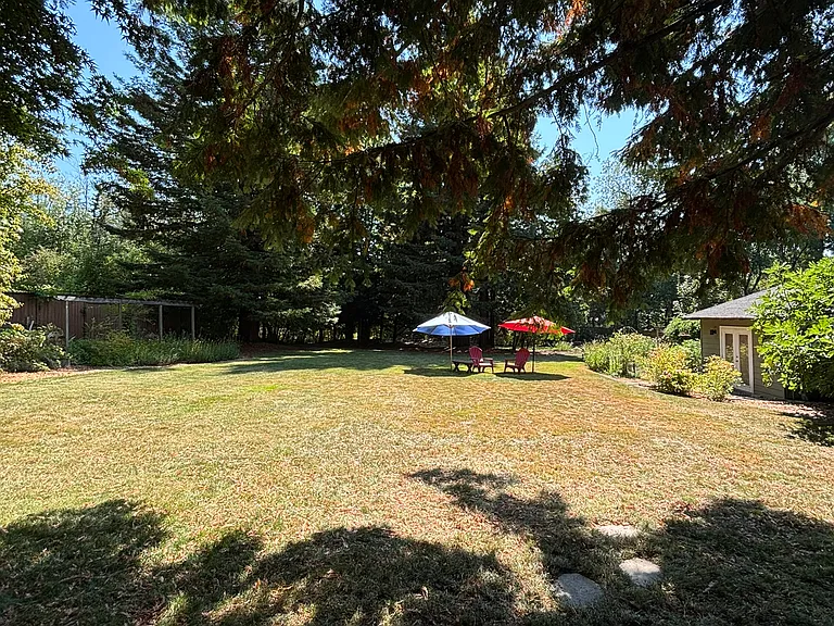 looking south into backyard lawn