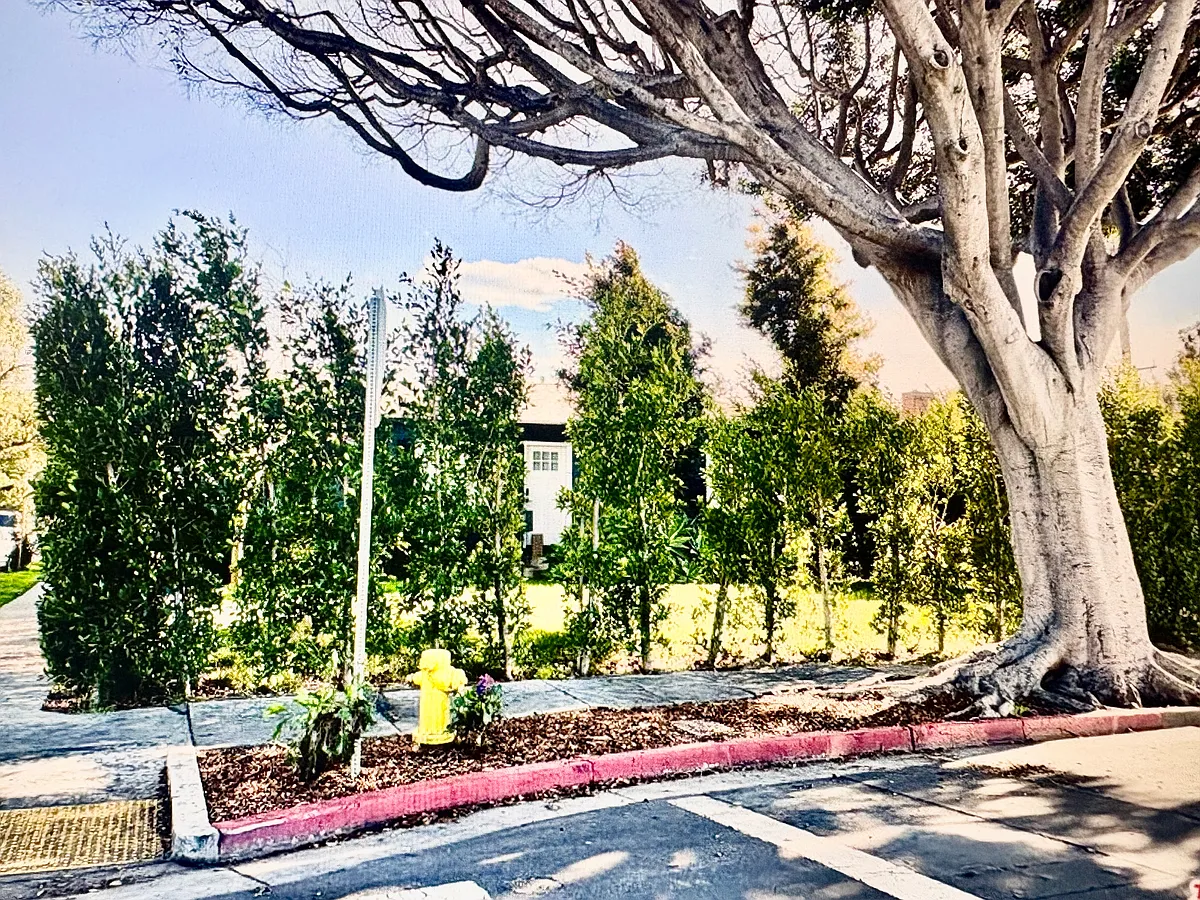 Photo 1 of 27 - 2850 Delaware Ave - Santa Monica, CA Primary Photo - 2850 Delaware Ave