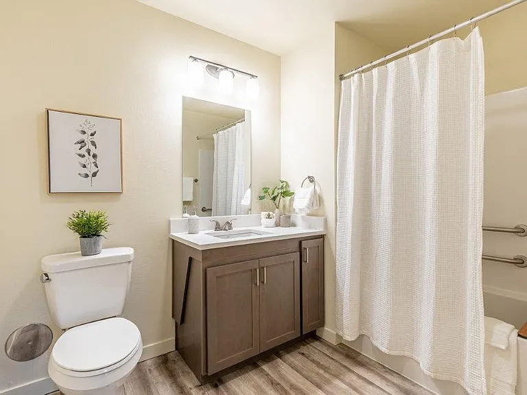 The Jax Apartments — Photo 10