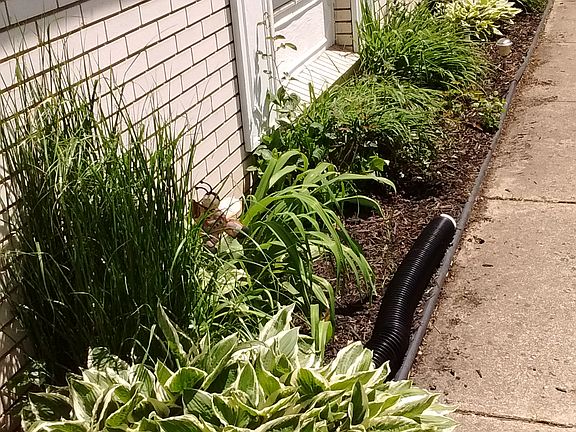 3rd image of 28802 Herndonwood Dr