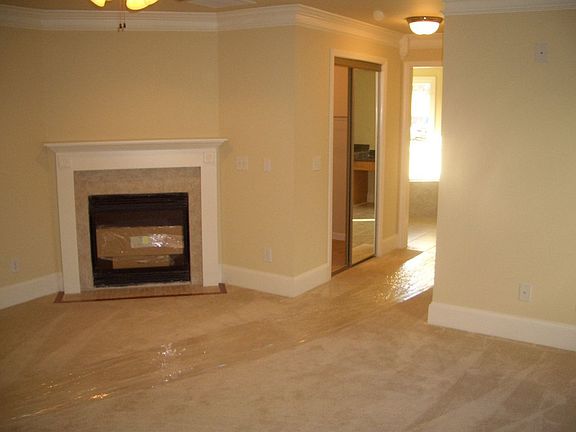 Fireplace and upgraded carpet and padding in master suite