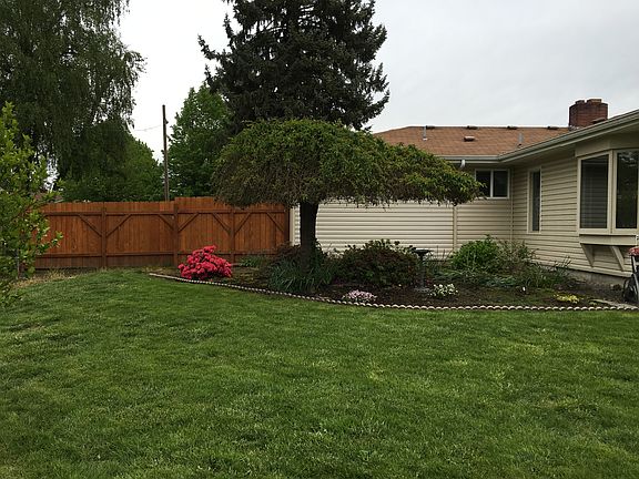 Back yard