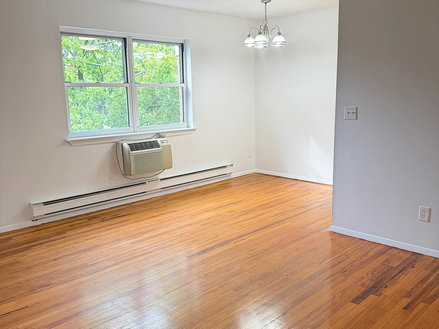 1 bed, $1,800 — Photo 2