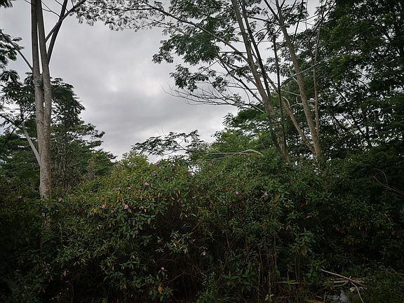 3rd image of Aholehole St Lot 2