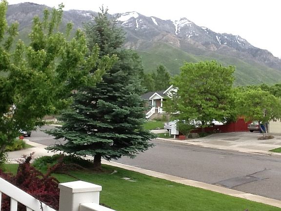 View from front porch