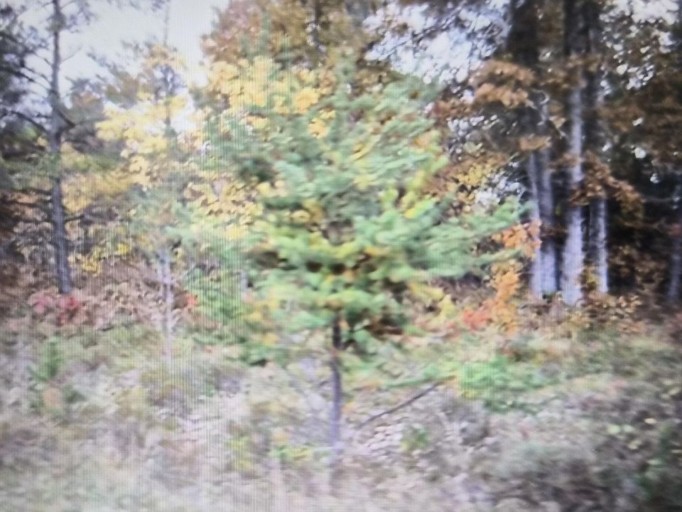 1st image of 36 Northwood Dr