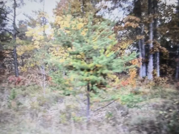36 Northwood Dr, Grayling, MI 49738