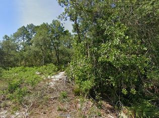 Fisher Pass #3, Ocklawaha, FL 32179