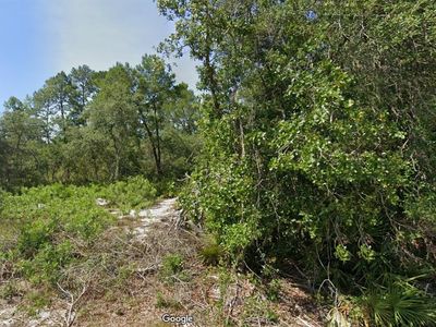 Fisher Pass #3, Ocklawaha, FL, 32179