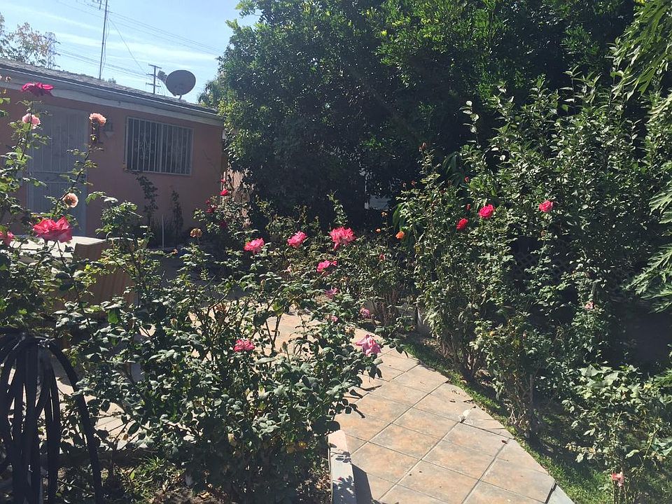 Cover Photo