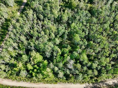 L Schlecht Dr Lot 1-2-3, Delta Junction, AK, 99737