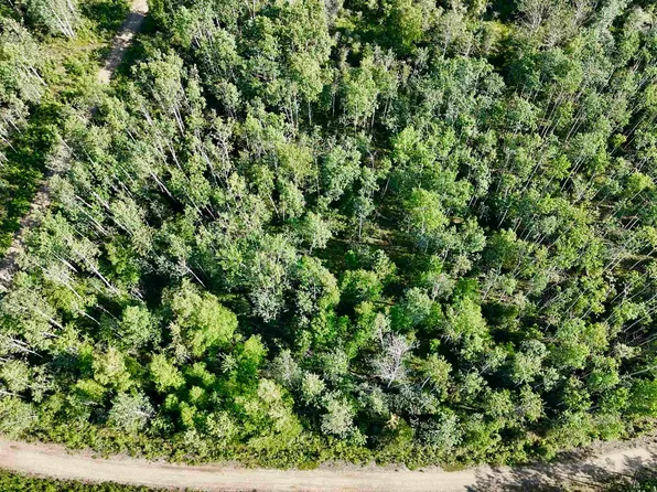 L Schlecht Dr Lot 1-2-3, Delta Junction, AK 99737