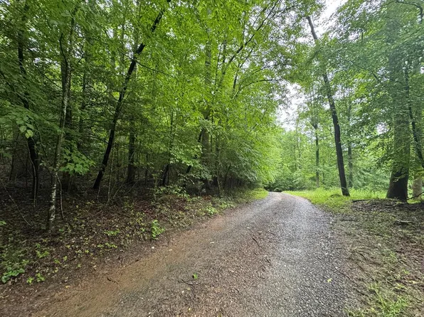 Bear Run Cir, Ellijay, GA 30540