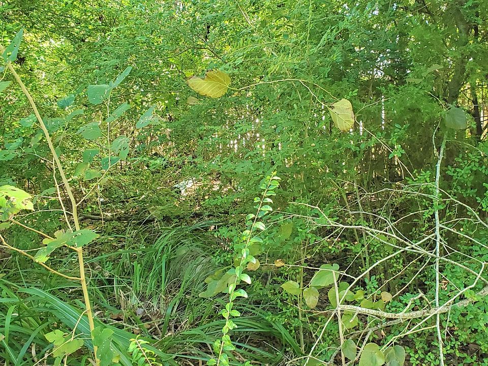 2nd image of 0 E 7TH Street