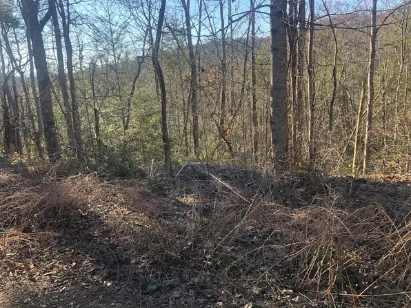 53 Butternut Ln Lot 53, Sevierville, TN 37876