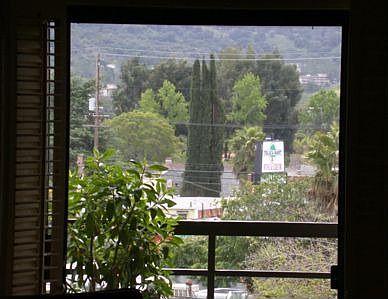 View From Kitchen