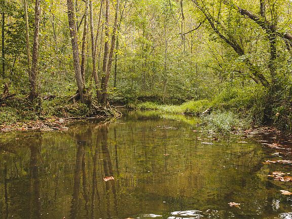 5th image of 1444 Beech Creek Rd
