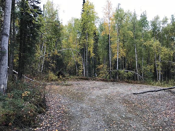 4th image of 50321 S Tract D Loop