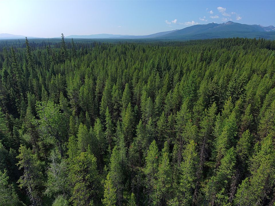 Providence Ln, Condon, MT 59826 Zillow