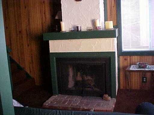 Wood Burning Fireplace 