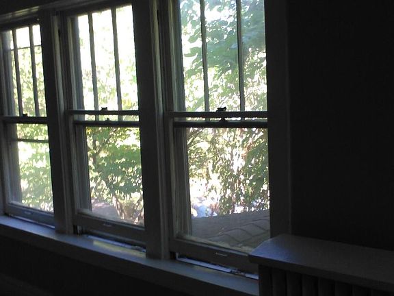 front windows