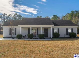 2438 Easy St, Effingham, SC 29541