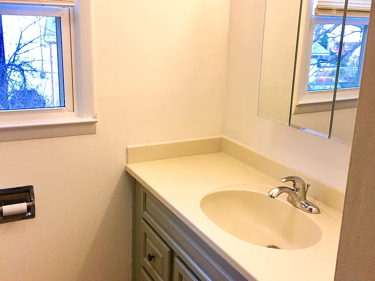 BATHROOM SINK AREA