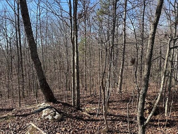 2nd image of TRACT Three South Pittsburg